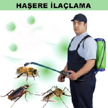 Akdağmadeni Böcek İlaçlama